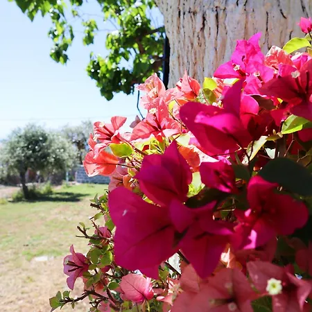 Thassion-ikea Jacuzzi Hydromassage アストリス